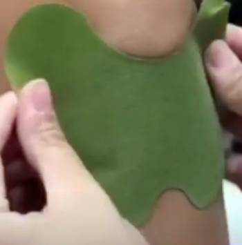 wellnee pain relief patch