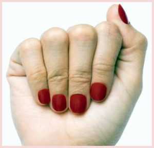 Read more about the article Lily and Fox Vs. Dashing Diva: In-depth Difference