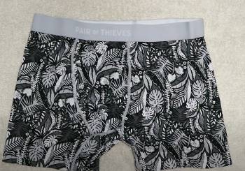 pair of thieves underwear
