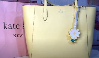 dana tote kate spade