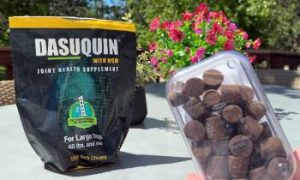 Read more about the article Dasuquin Vs. Wuffes: In-depth Difference