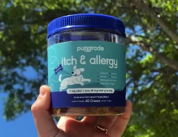 pupgrade itch and allergy