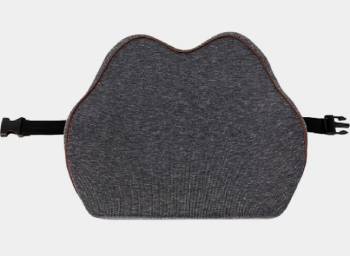 cubii lumbar cushion