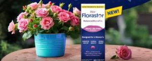 Read more about the article Florastor Vs. Culturelle: In-depth Difference