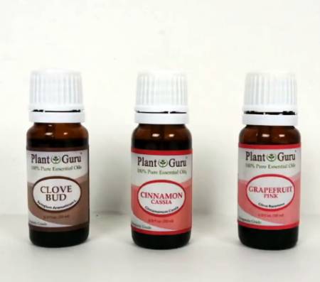 plant guru essential oils