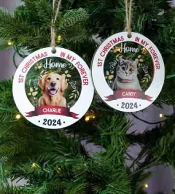 wander prints home decor