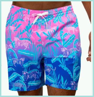 why are chubbies so expensive