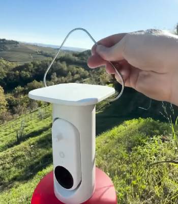 bird buddy hummingbird feeder