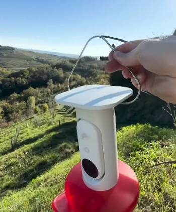 bird buddy hummingbird feeder