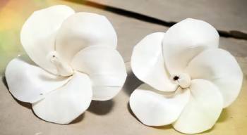 sola wood flowers
