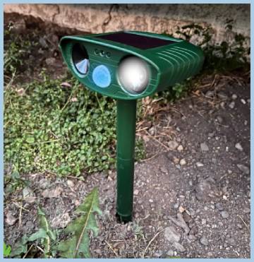 squirrel fortress pro