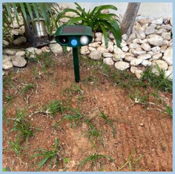 squirrel fortress pro