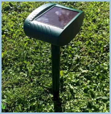 squirrel fortress pro