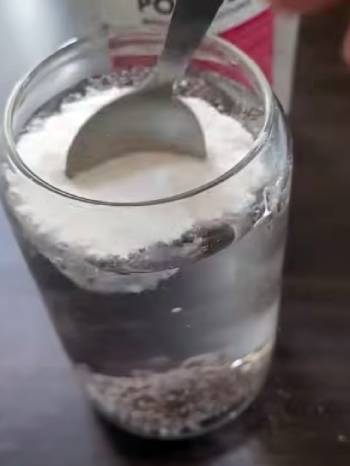 algaecal collagen complete