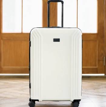 badgley mischka luggage