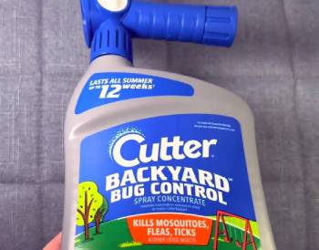 cutter backyard bug control spray concentrate