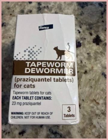 elanco tapeworm dewormer