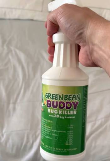 green bean buddy